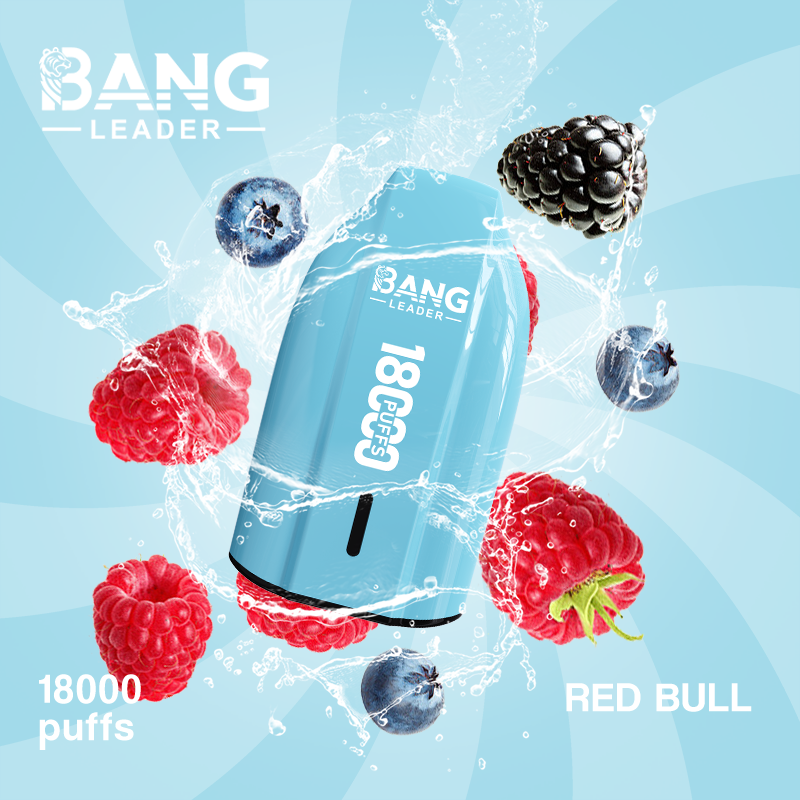 Bang Leader 18K Puffs Prefilled Vape |  Rechargeable