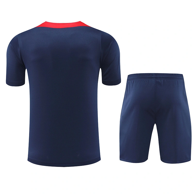 2024-25 Atletico Madrid Short-sleeved training clothese