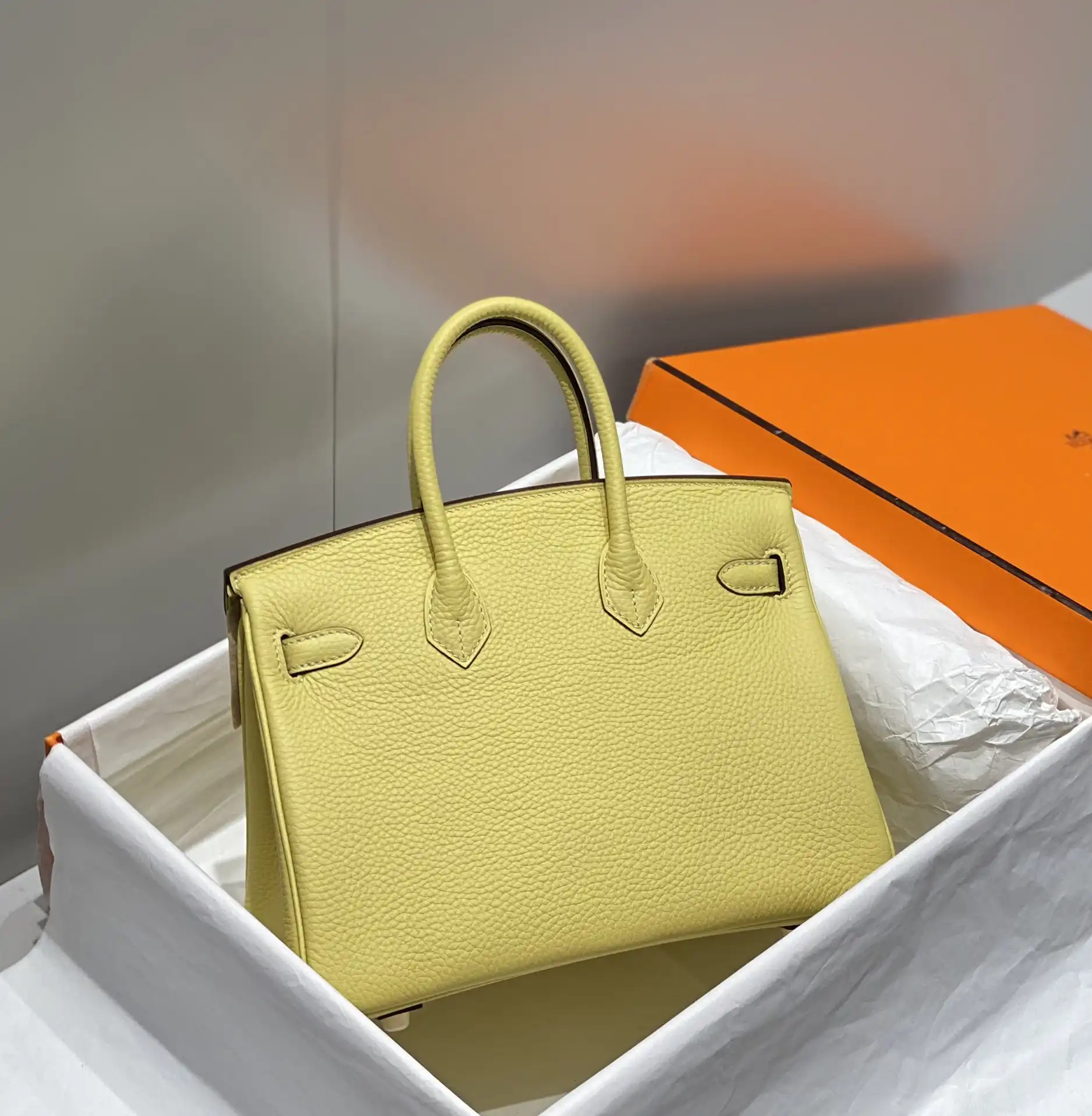 Birkin 25