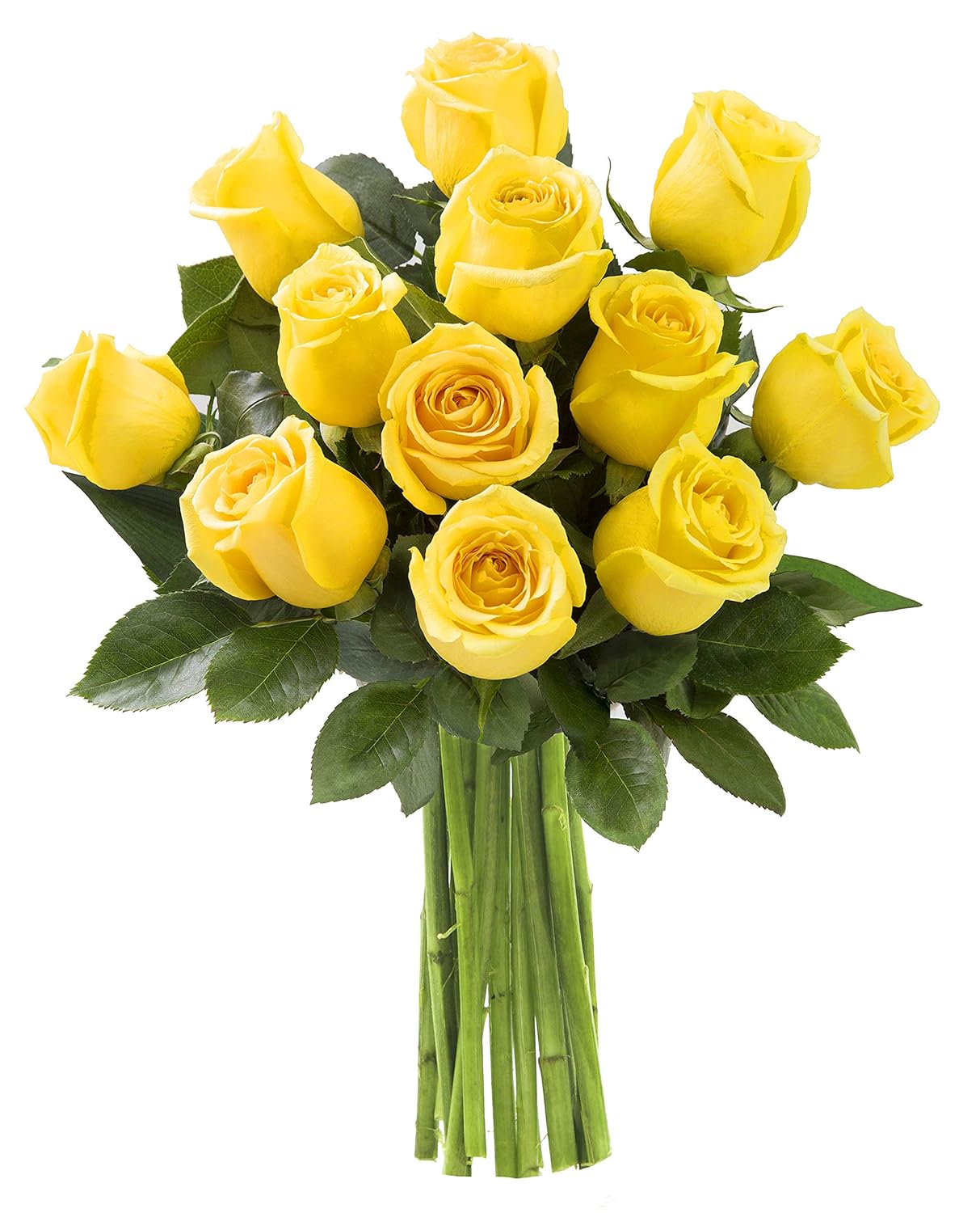 KaBloom PRIME NEXT DAY DELIVERY - Fall Collection - Bouquet of 12 Fresh Yellow Roses Fresh For Delivery Prime.Gift for Birthday, Get Well, Thank You, Valentine, Mother’s Day Fresh Flowers