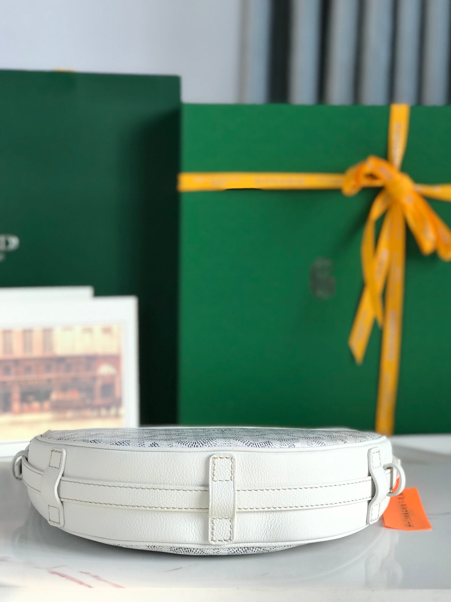 Goyard Hirondelle Bag 25 Cm White Lambskin And Goyardine Canvas