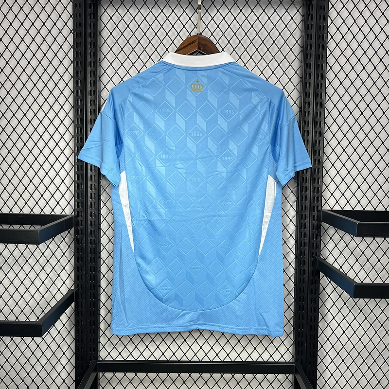 2024-25 Belgium Euro Away Football jersey