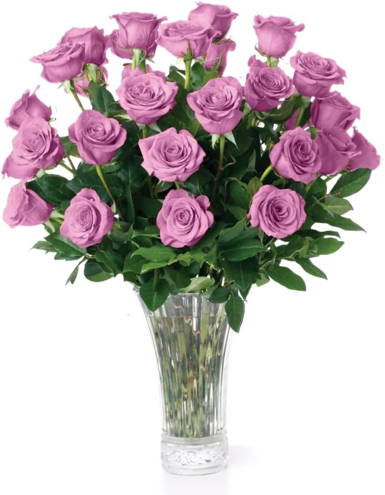Aquarossa Farms – Flowers for Delivery, Fresh Flowers Bouquet, Handpicked from the Farm, Gift for Birthday, Anniversary, or Just Because – 24 Fresh Roses
