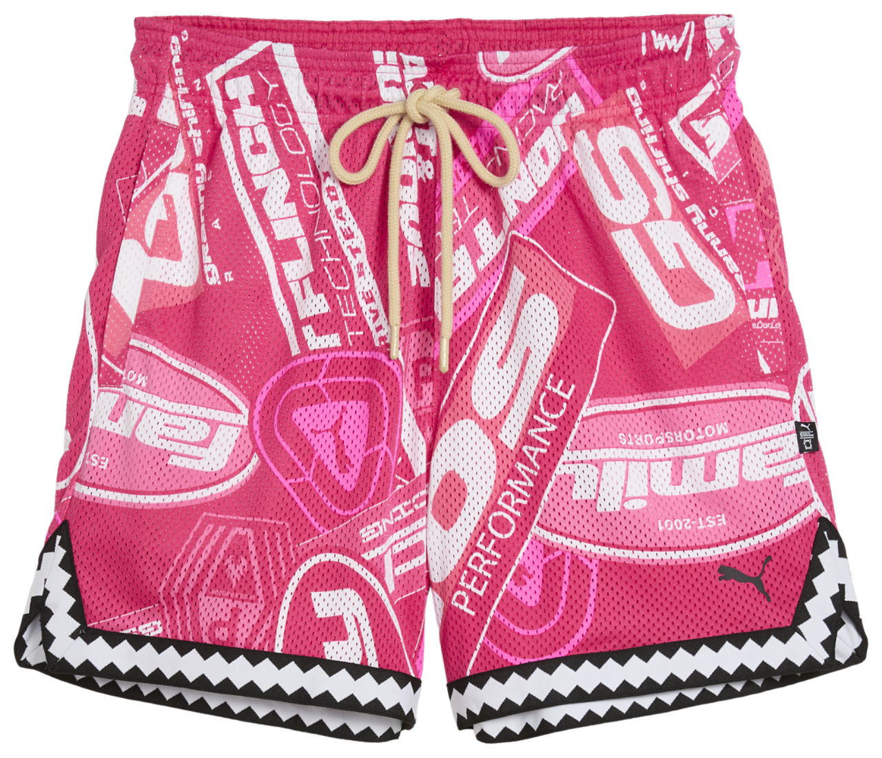 PUMA x Fast & Furious Reversible Mesh 6