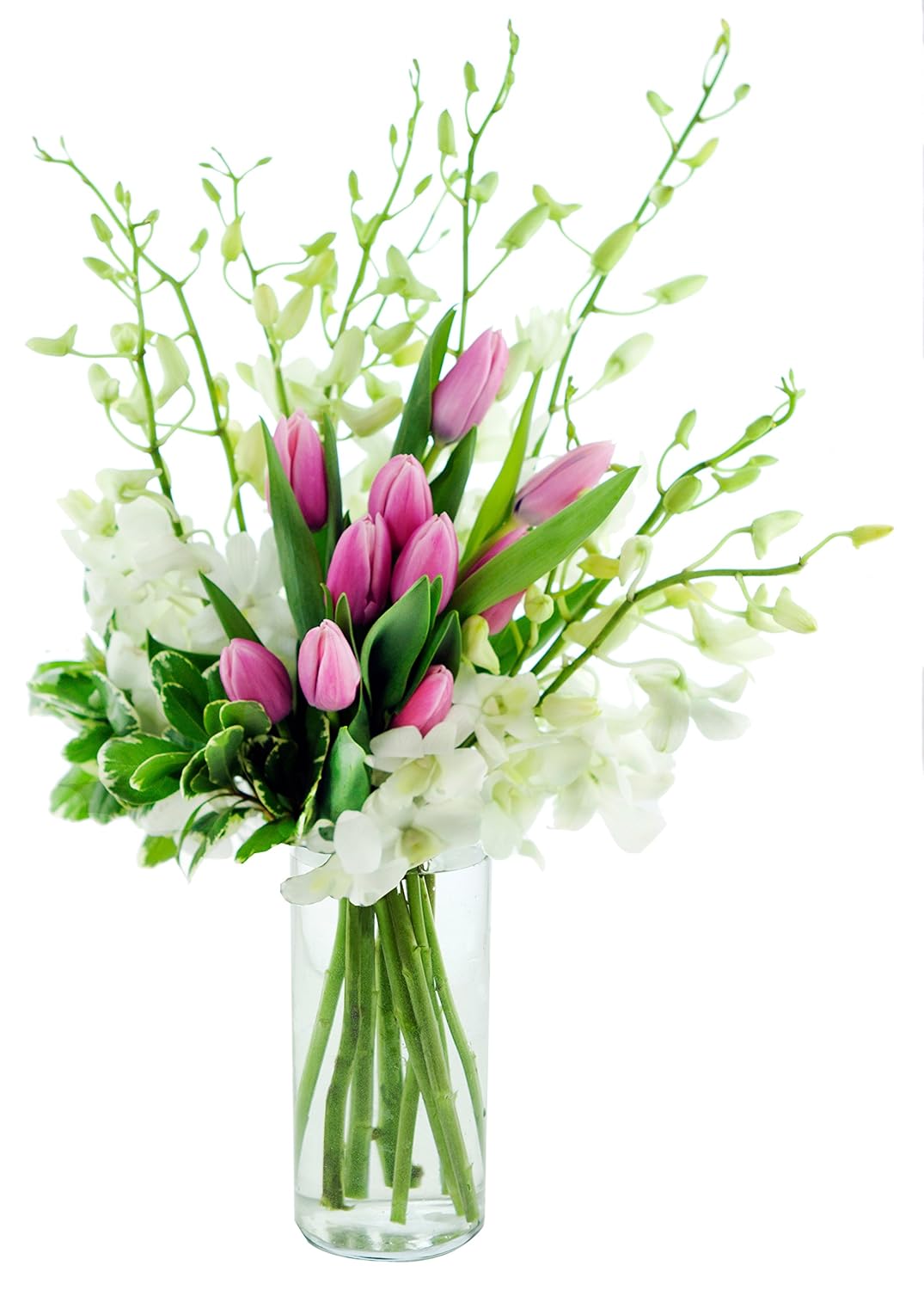 KaBloom PRIME NEXT DAY DELIVERY - Fall Collection - Mother's Day Special Sunday Brunch with Orchids and Tulips - With Vase.Gift for Birthday, Thank You, Valentine, Mother’s Day Fresh Flowers