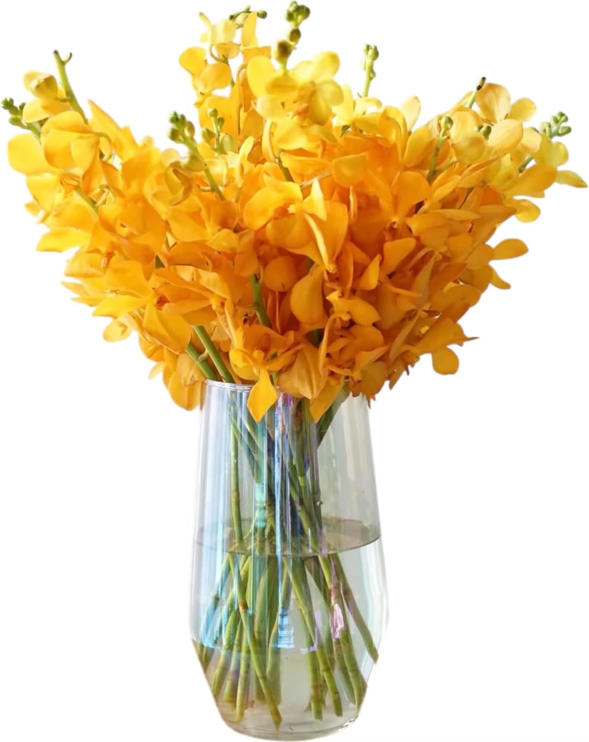 15 Stems Orange Orchids Fresh Cut Flowers Gift Birthday Anniversary Valentine's Day flowers Dendrobium