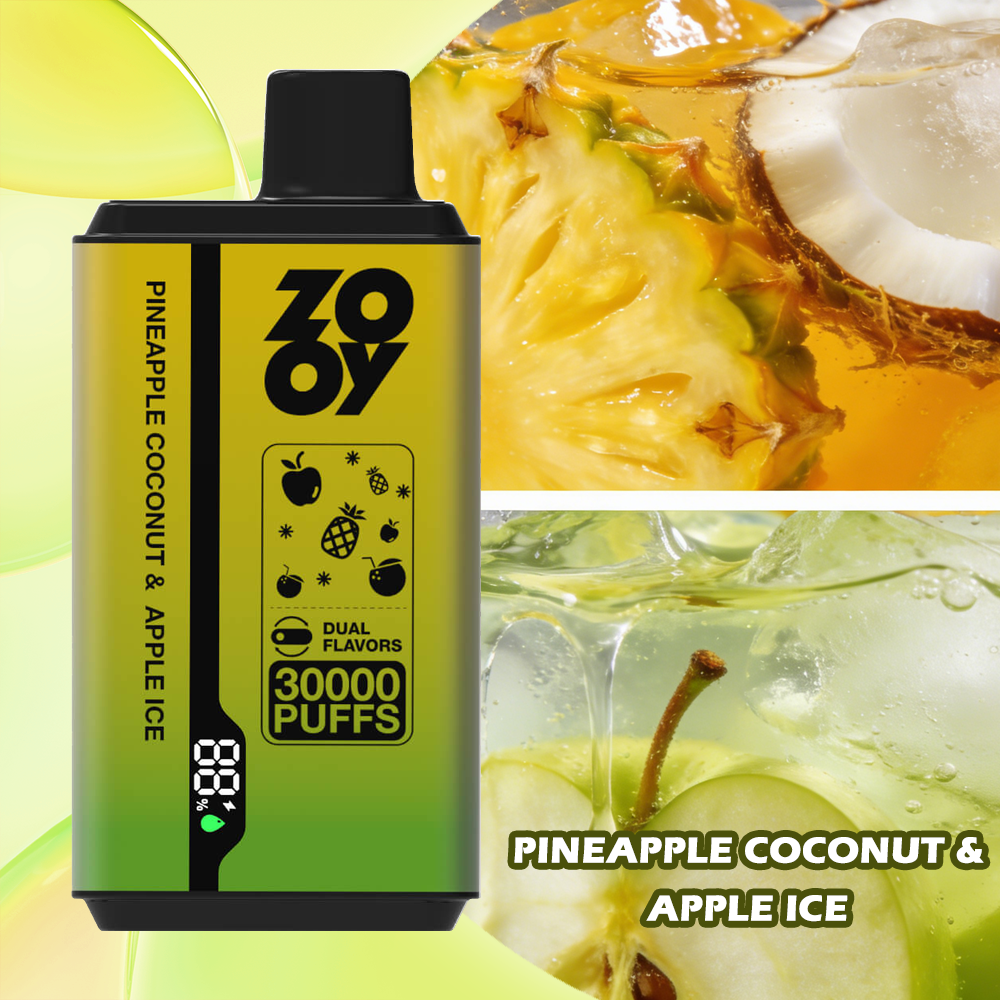 ZOOY Twins 30000 PUFF