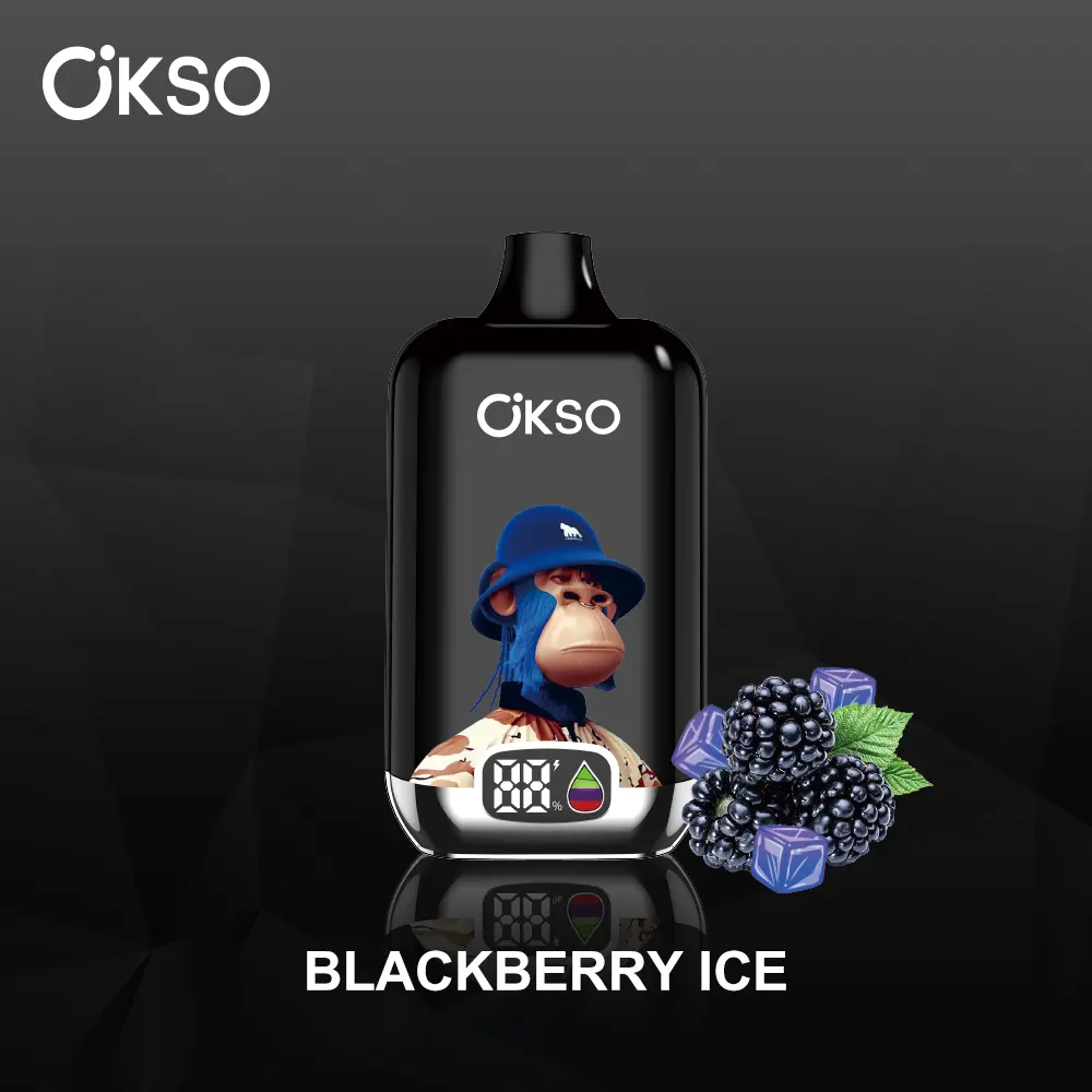 OKSO Digital box 12000 12K Puffs Rechargeable LED Display Disposable Vape
