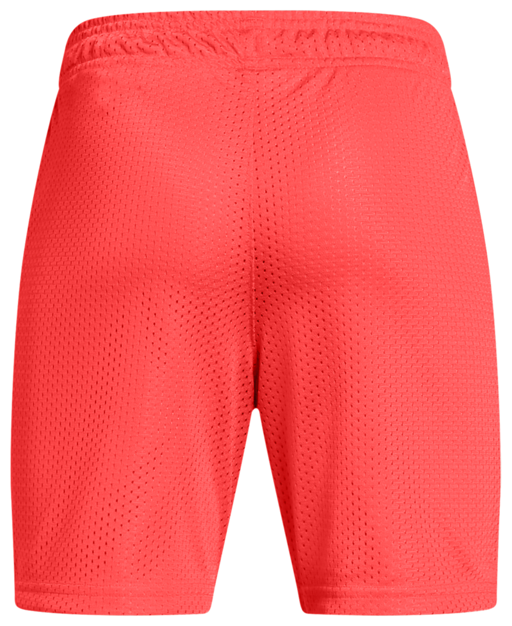 Under Armour Icon Mesh Short