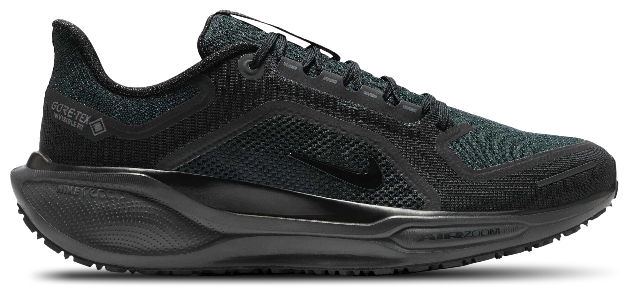 Nike Air ZOOM Pegasus 41 GTX