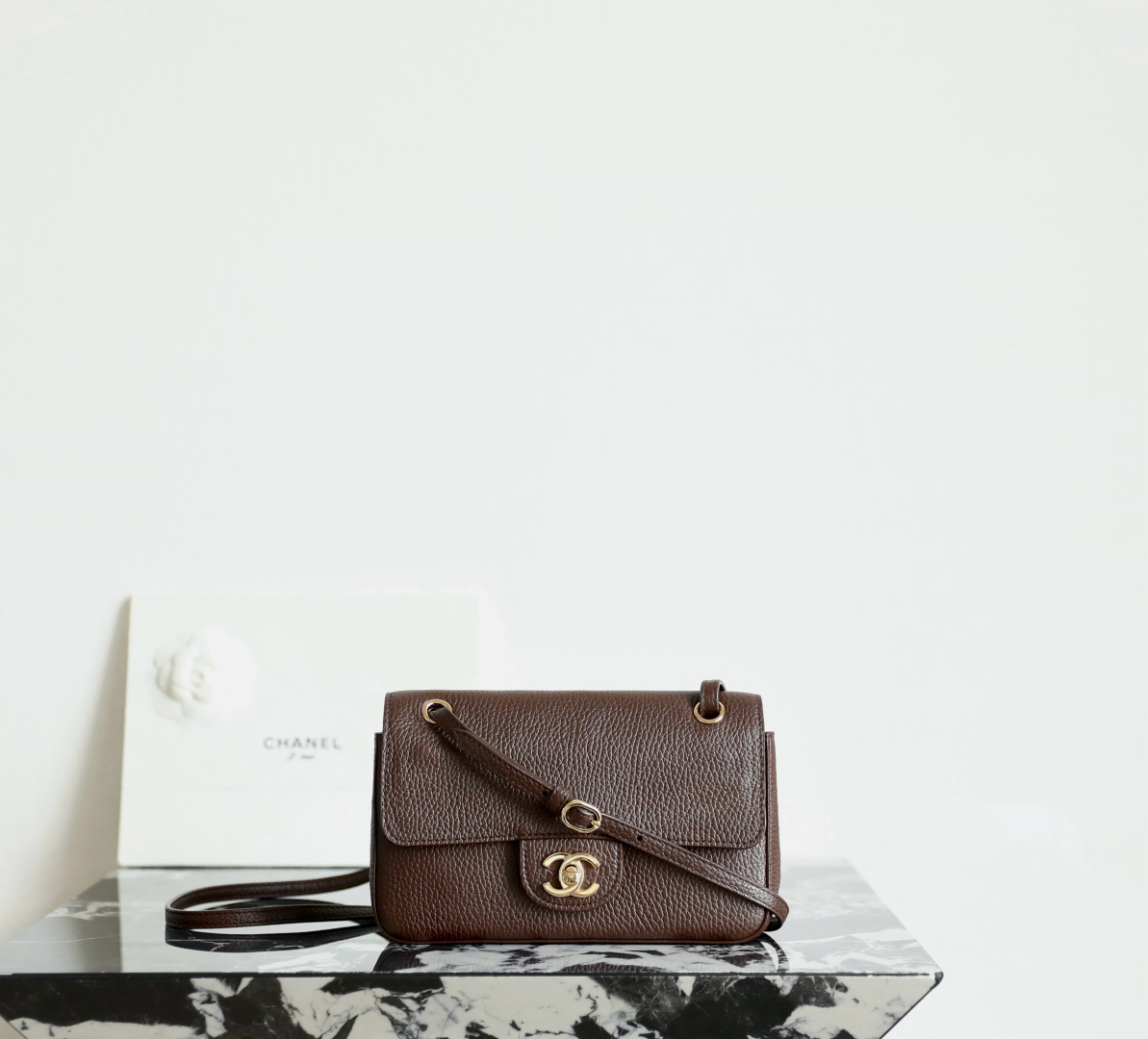CHANEL 26B Fall/Winter Collection Mini Flap Bag