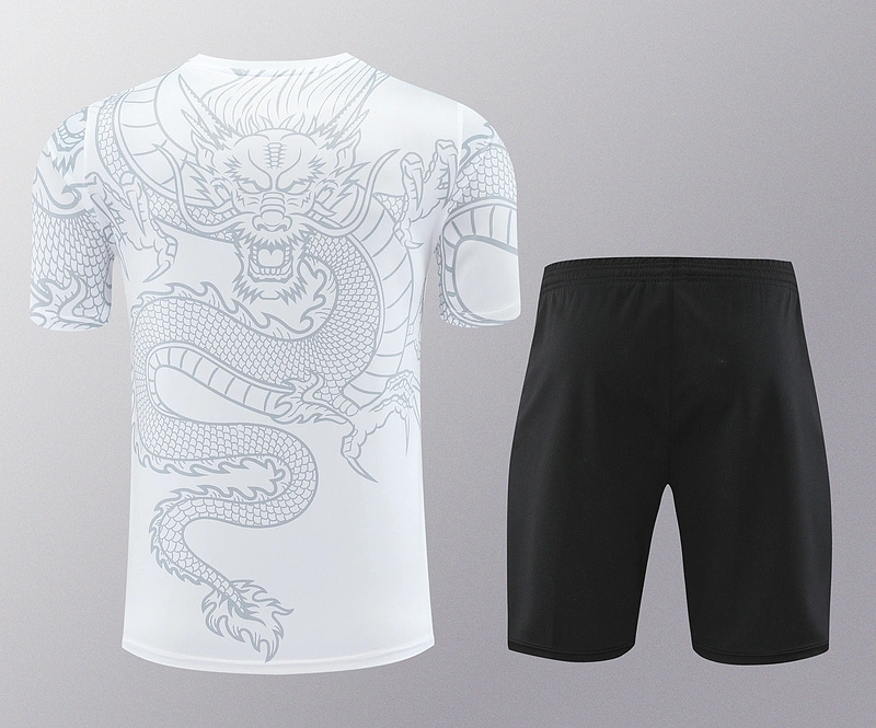 2024-25 Real Madrid Short Sleeve Training Wear
