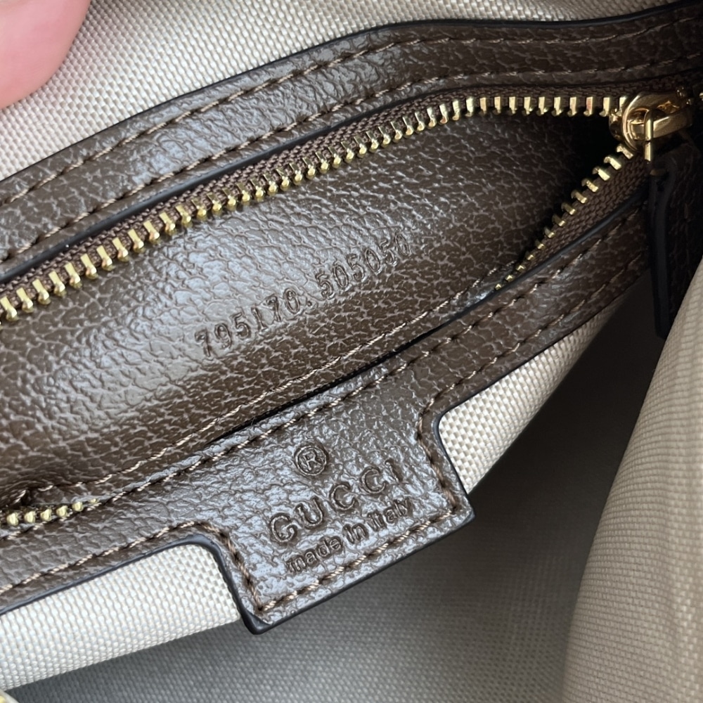 Gucci Gg Ophidia Super Mini Shoulder Bag Beige And Ebony 20Cm 795170 96Iwg 8745