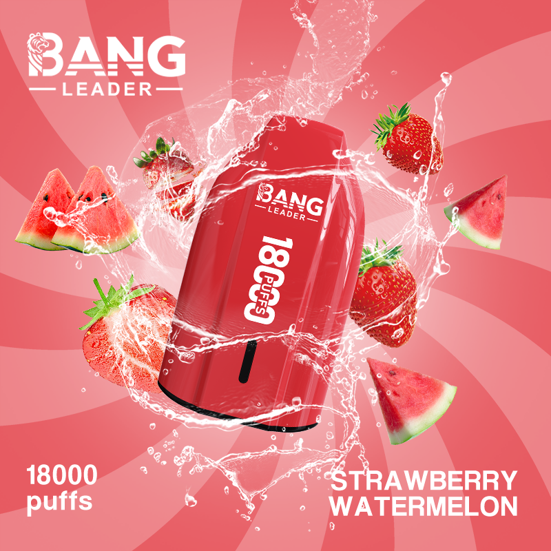 Bang Leader 18K Puffs Prefilled Vape |  Rechargeable