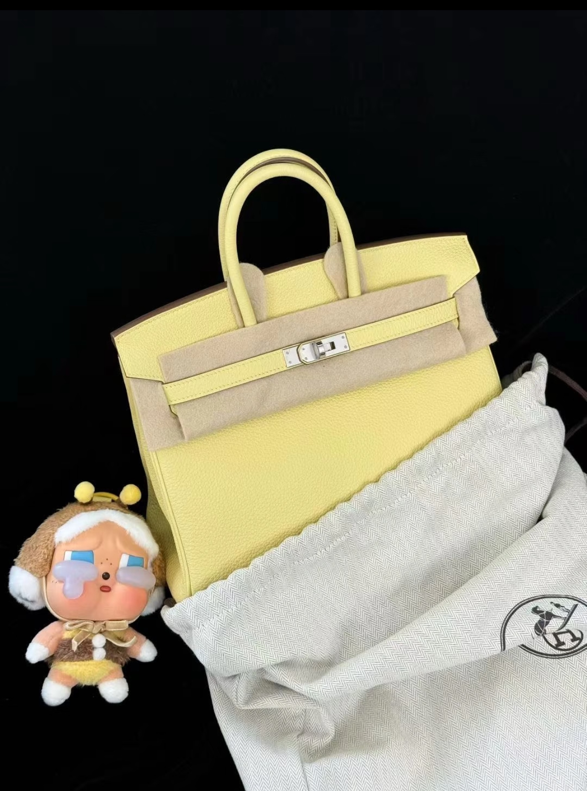 Birkin 25-30 Jaune Poulet EPSON custom