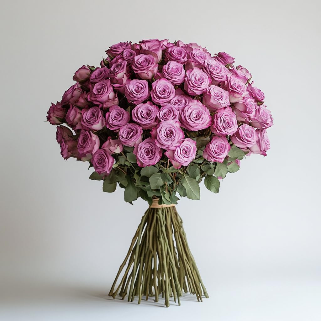 GlobalRose 50 Lavender Roses Bouquet - Responsibly Sourced Roses Fresh Flowers - Hand-Picked Flowers Fresh Bouquet for Graduation, Anniversary, Birthday & Special Occasions (2 Bunches of 25 Stems)