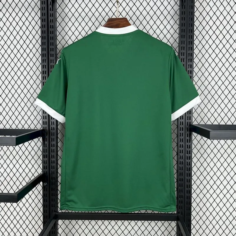 2025-26 Palmeiras Home Football jersey