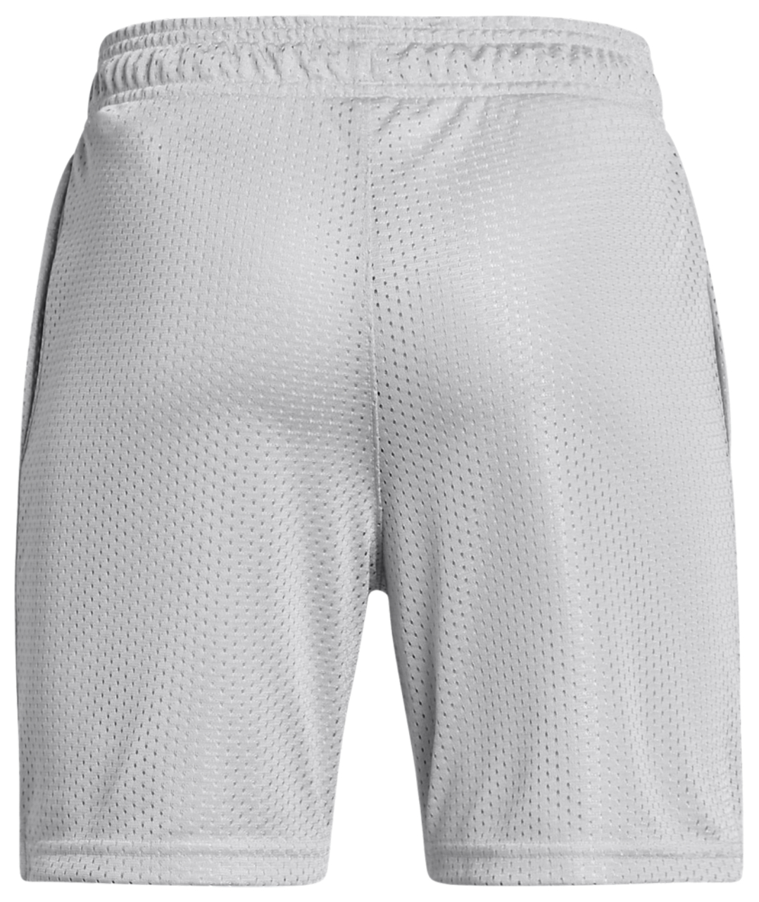 Under Armour Icon Mesh Short