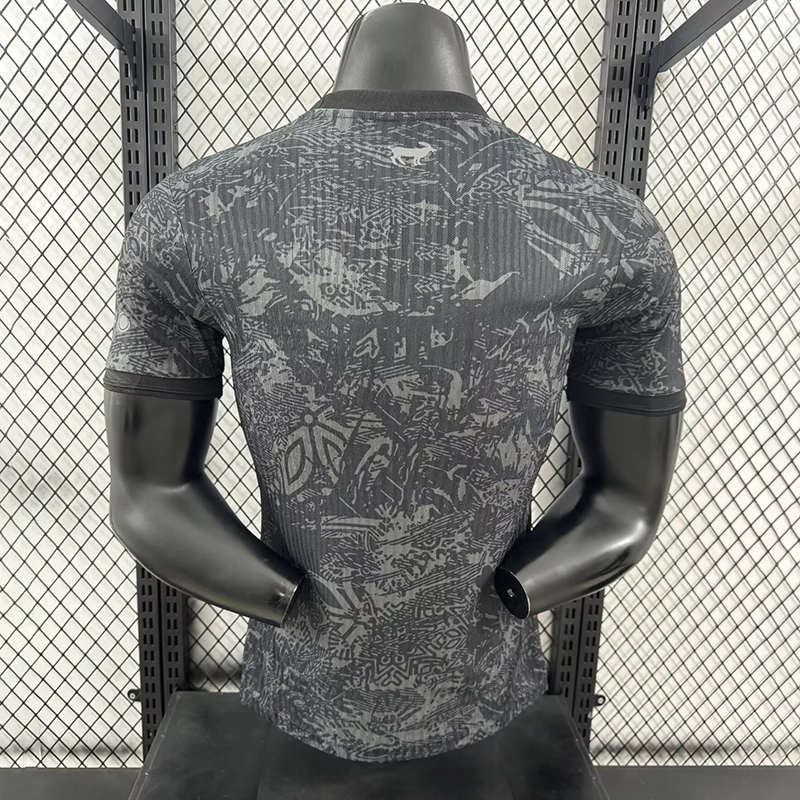 Player 2024-25 Portugal Special Edition Football jersey