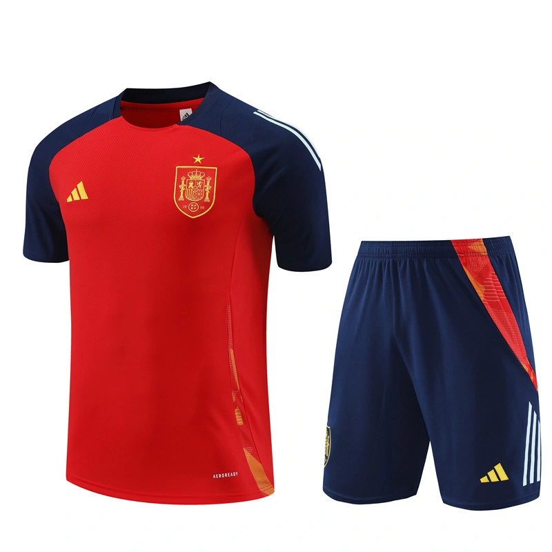 2024-25 Spain Short-sleeved training clothese