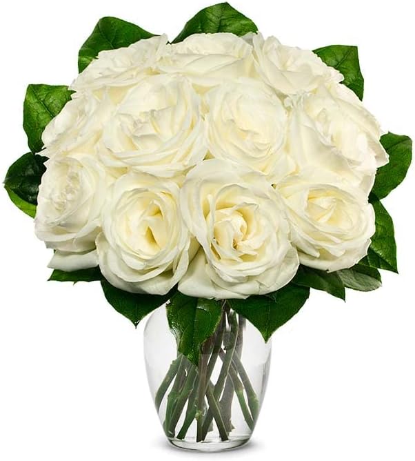 From You Flowers - One Dozen White Roses with Glass Vase | Fresh Flower Bouquets for Birthday, Anniversary, Get Well or Celebration