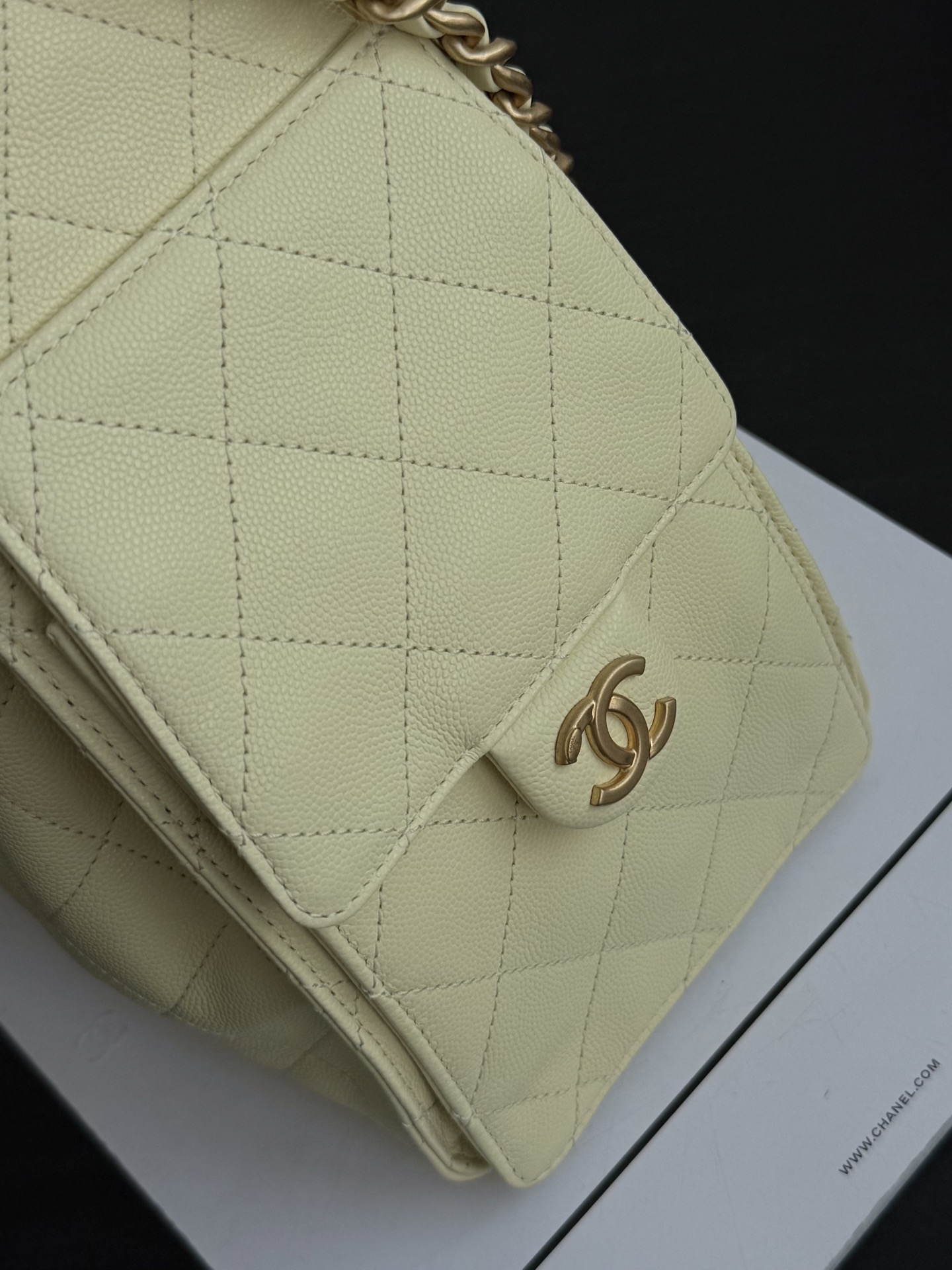 Chanel Spring-Summer 2025 Handbag Grained Calfskin & Gold-Tone Metal Yellow 30Cm/ 11.8In