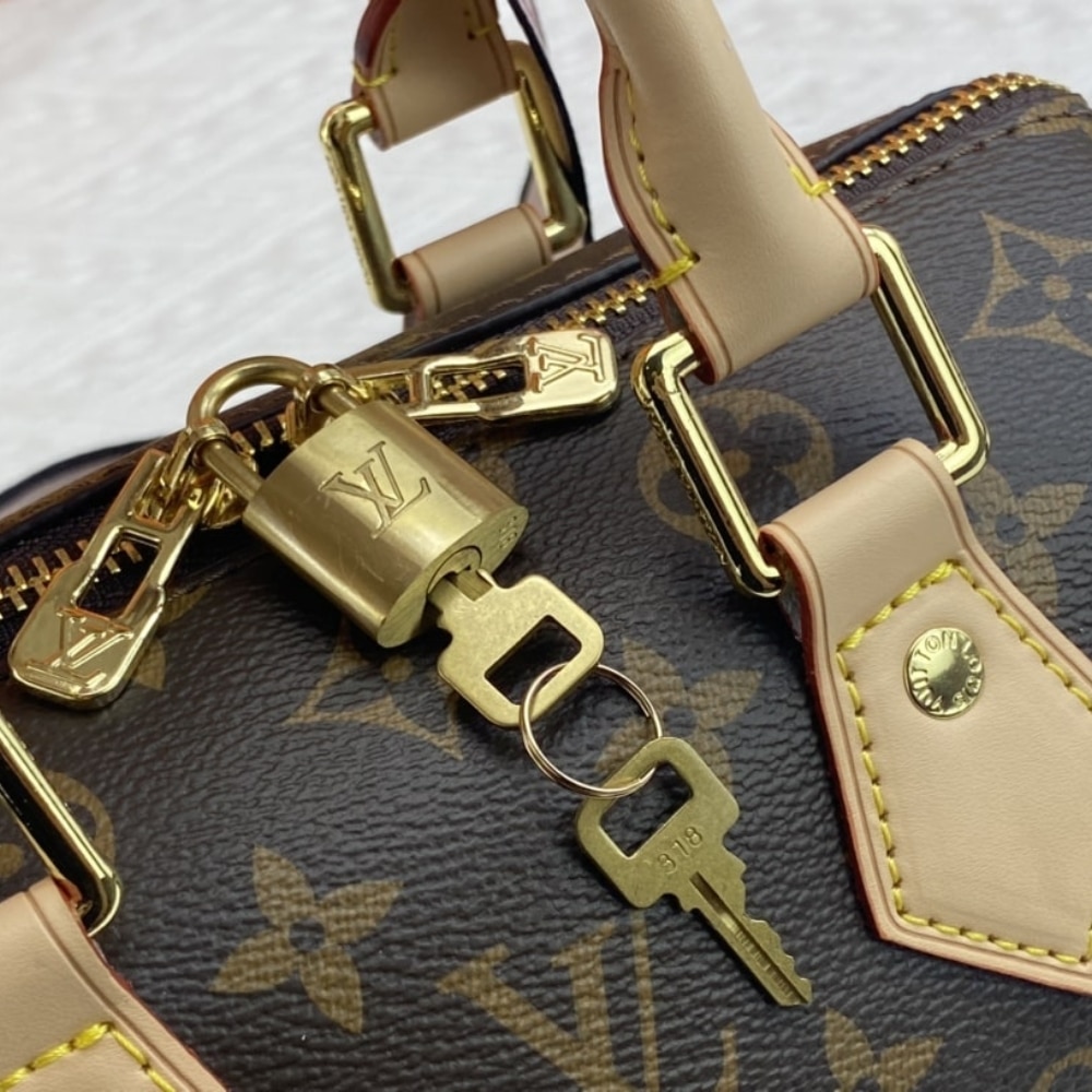 Louis Vuitton Speedy Bandoulière 20 Bag Black 20Cm M46234