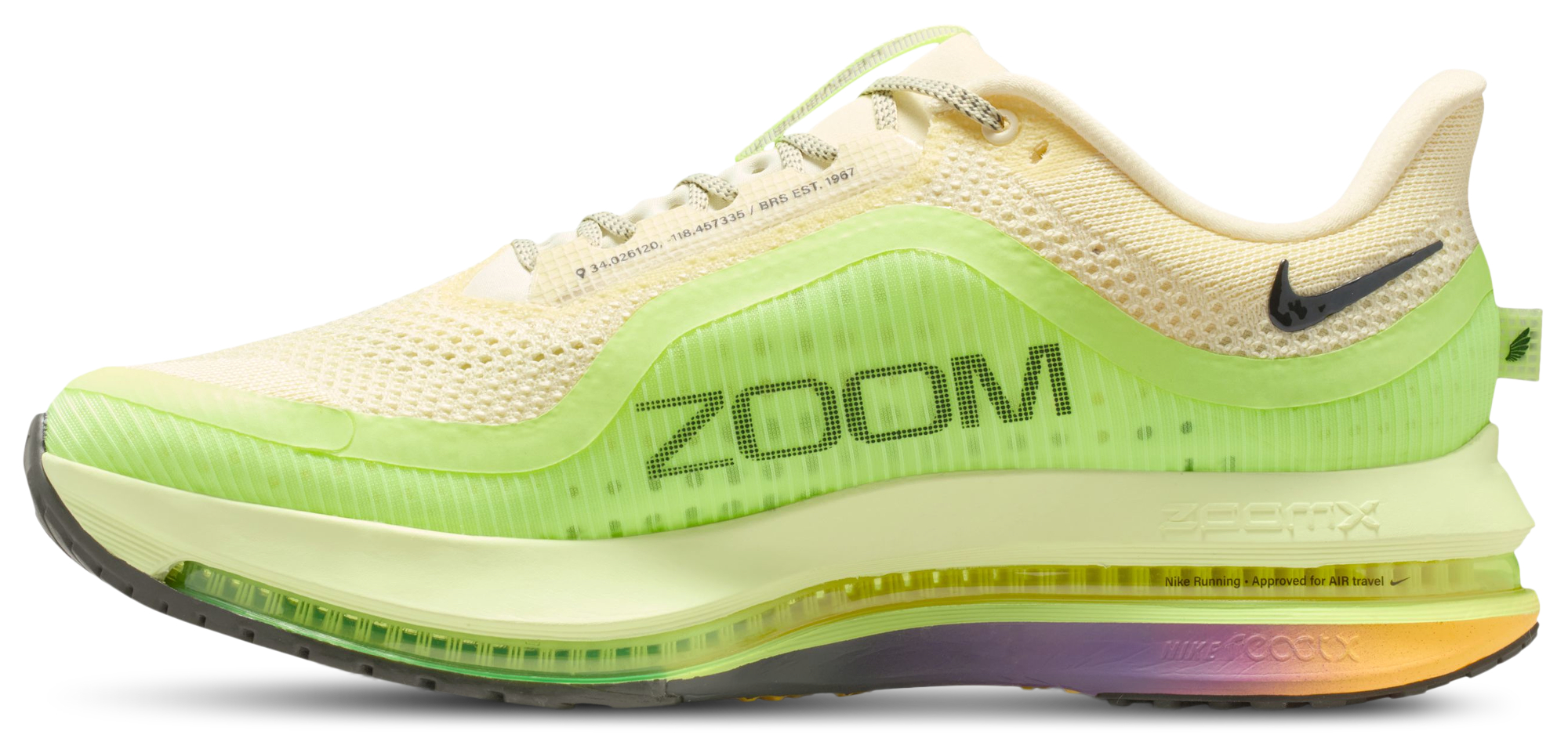 Nike Pegasus Premium