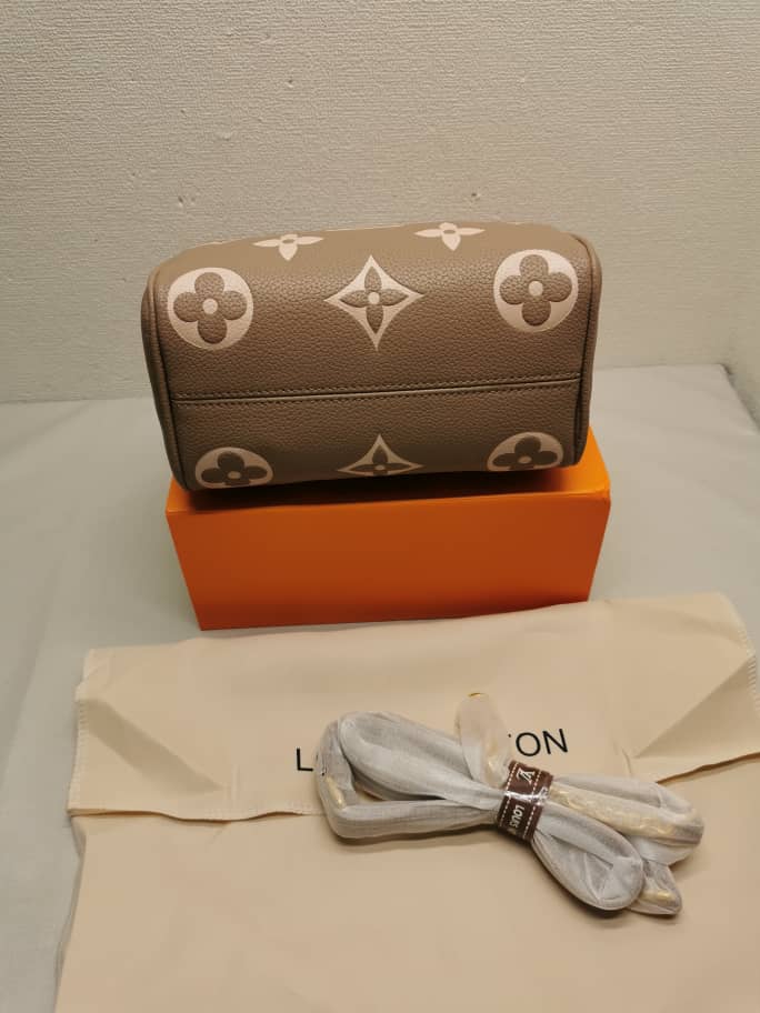 Louis Vuitton Speedy Bandoulière 20 Tourterelle Gray 20Cm M46575