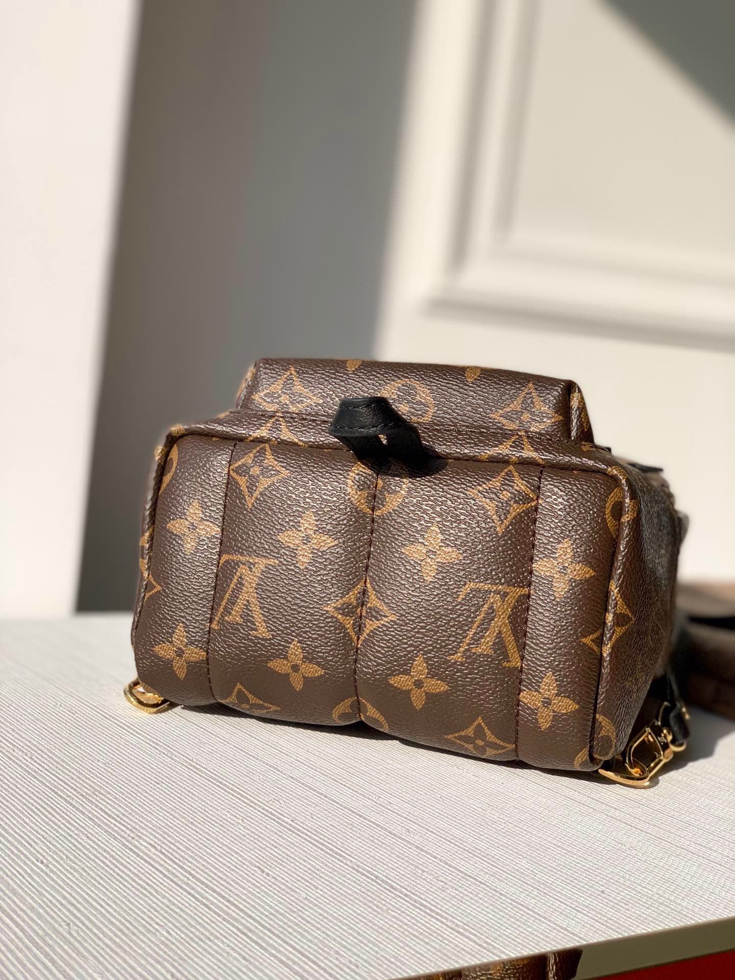 Louis Vuitton Palm Springs Backpack PM Monogram Canvas – 22cm/8.7in