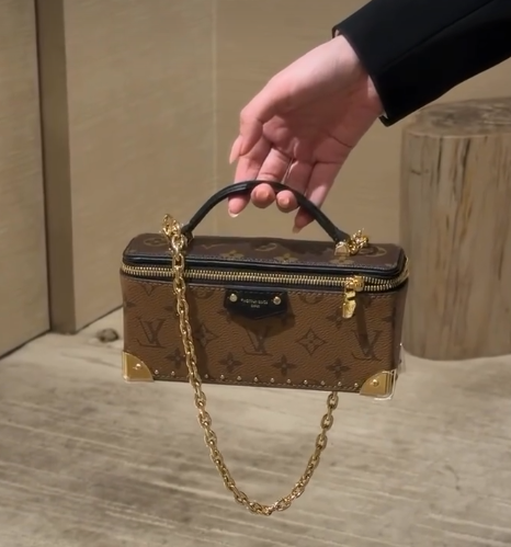 Louis Vuitton Vanity Pouch Trunk 20cm M29548