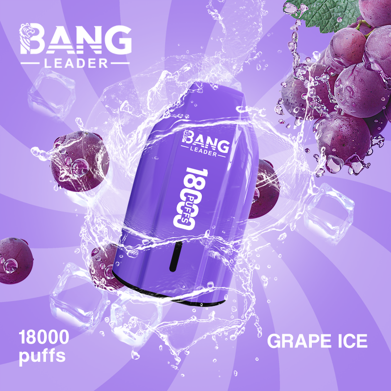 Bang Leader 18K Puffs Prefilled Vape |  Rechargeable