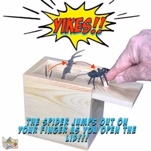 Prank Scare Box BUY 1 GET 1 FREE