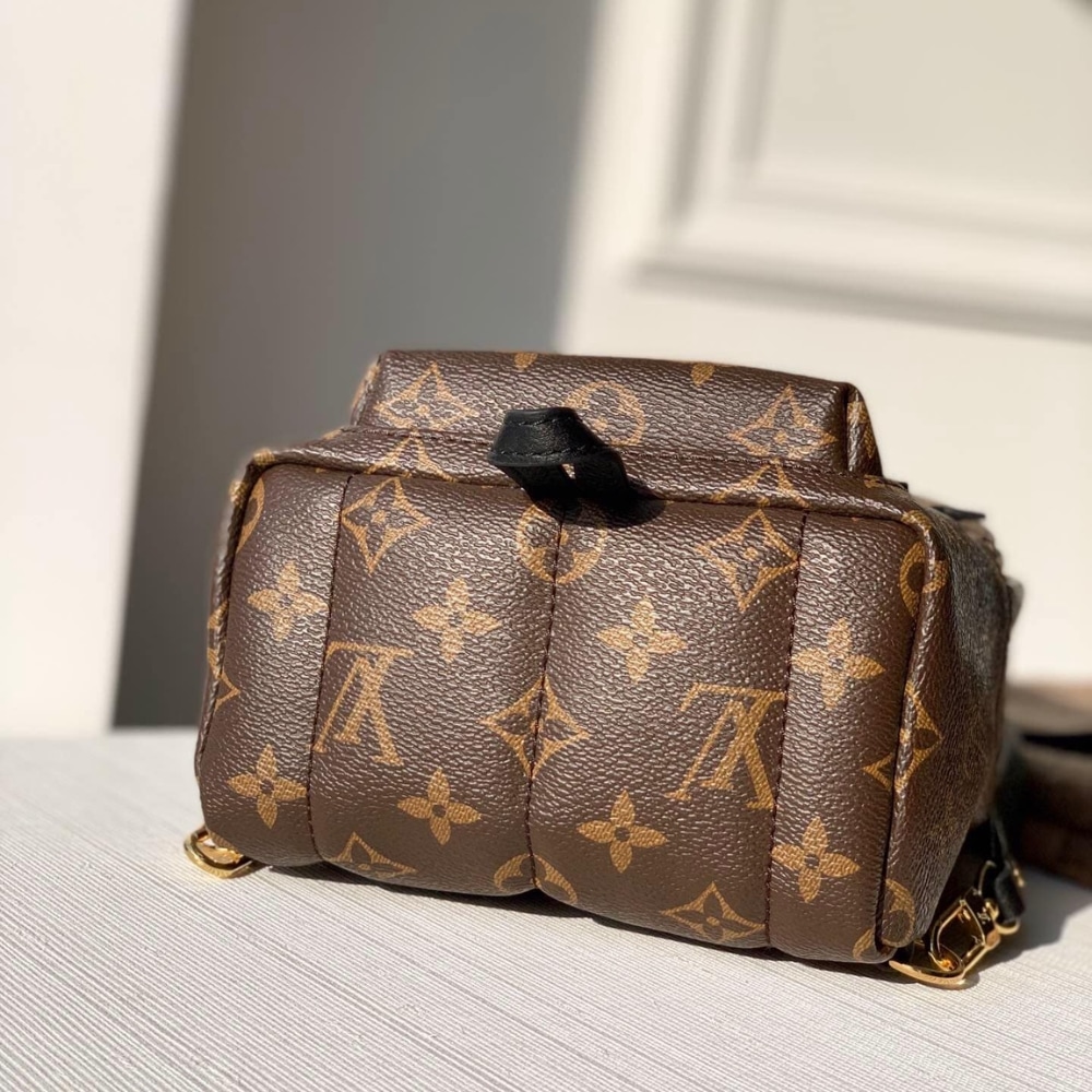 Louis Vuitton Palm Springs Mini Backpack Monogram Canvas 22cm M44873