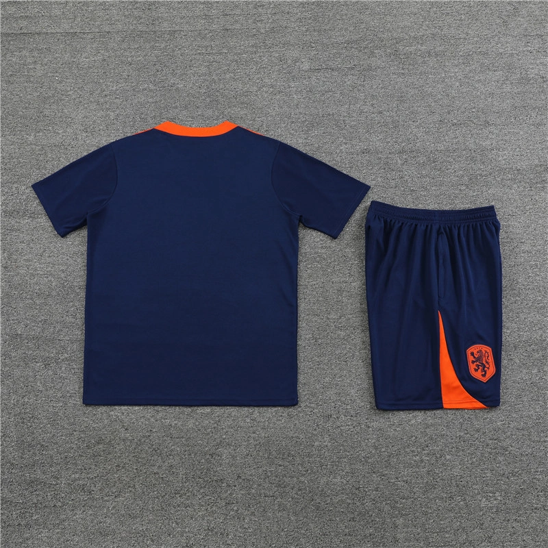 2024-25 Netherlands Short-sleeved training clothese