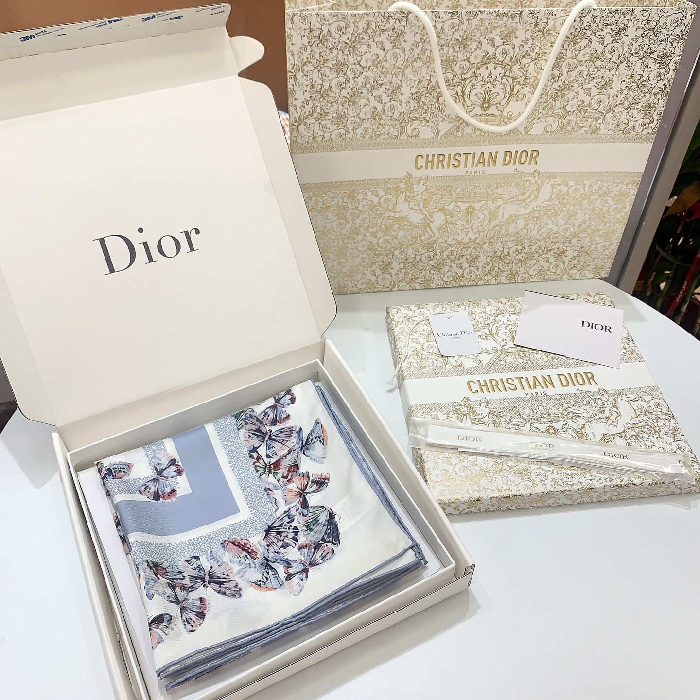 Dior Camo Papillon Print Silk Scarf