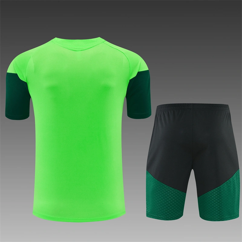 2026-27 Mexico Short-sleeved training clothese