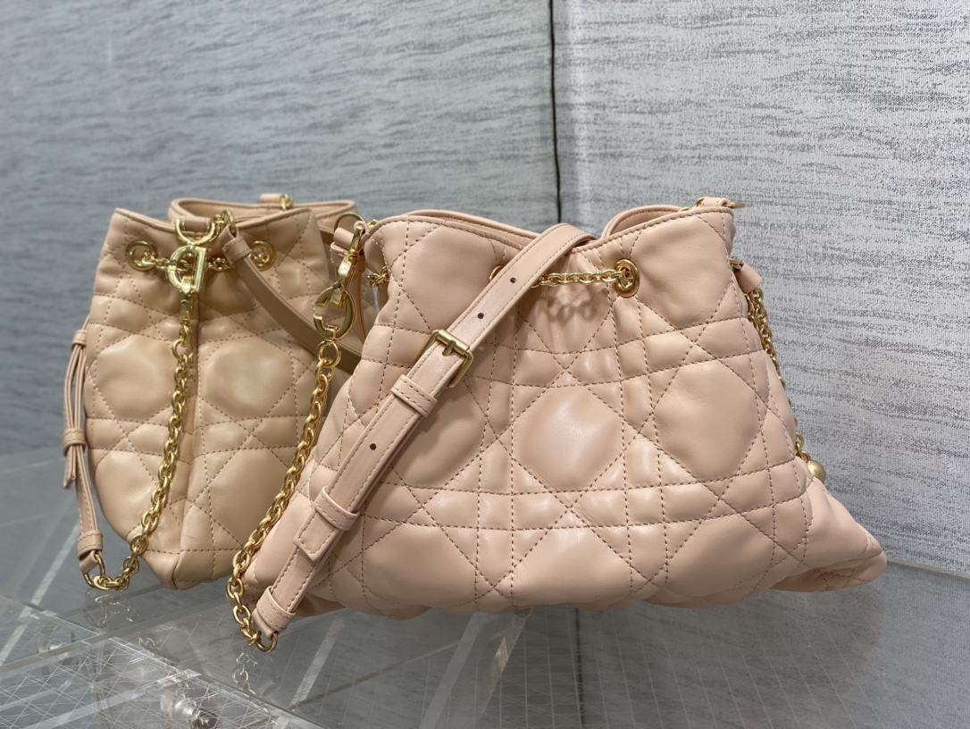 Christian Dior Ammi Shoulder crossbody Bag Lambskin leather Beige