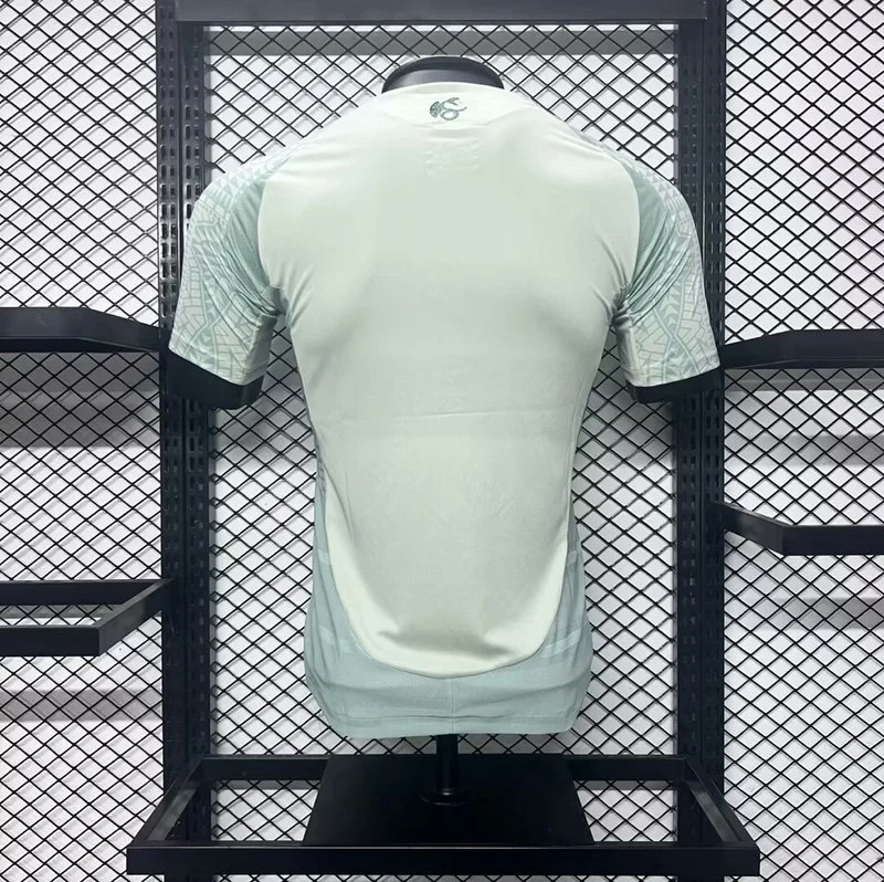 PLAYER 2024-25 Mexico Away Football jersey