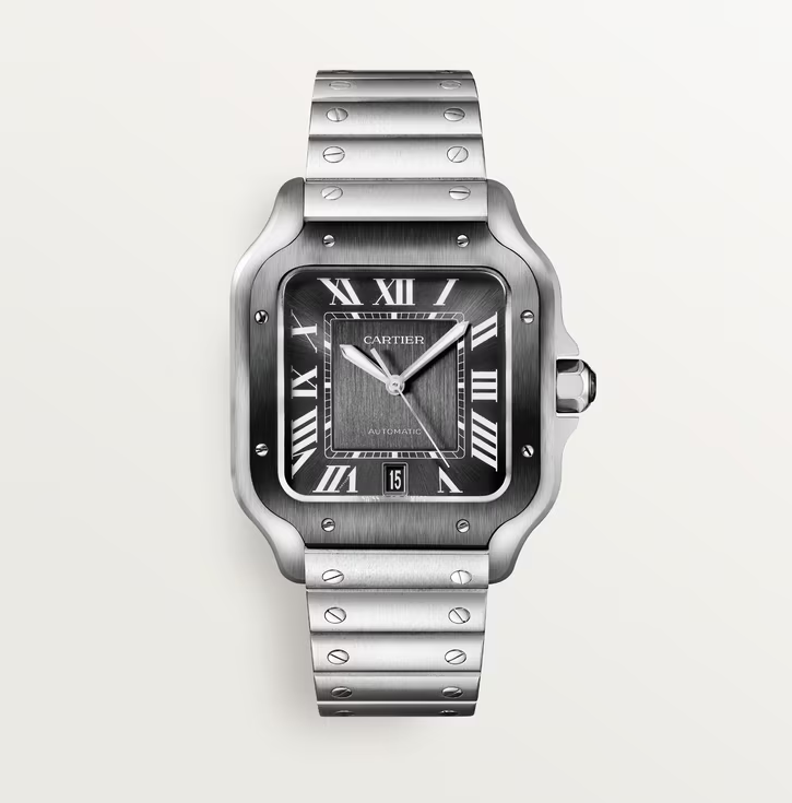 SANTOS GRAY 39.8mm