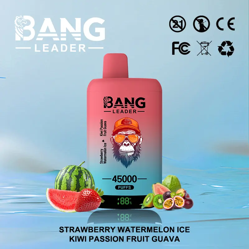 Bang Leader 45K Disposable Vape(3 pieces)