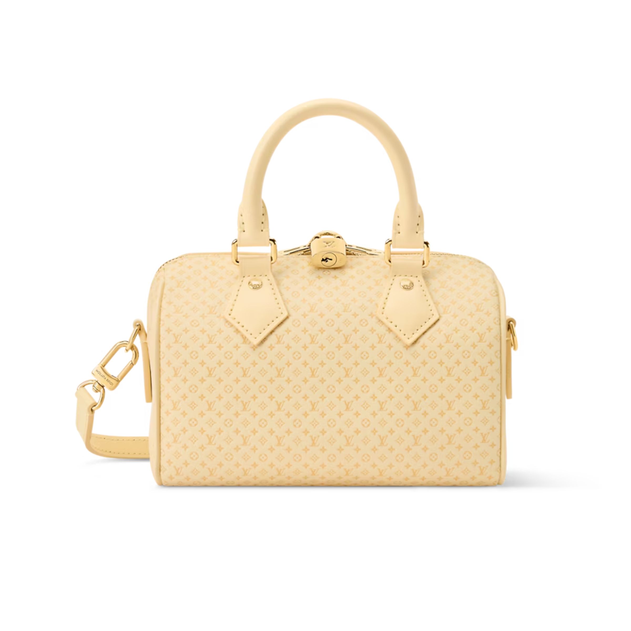 Louis Vuitton Speedy Bandoulière 20 Bag M29494