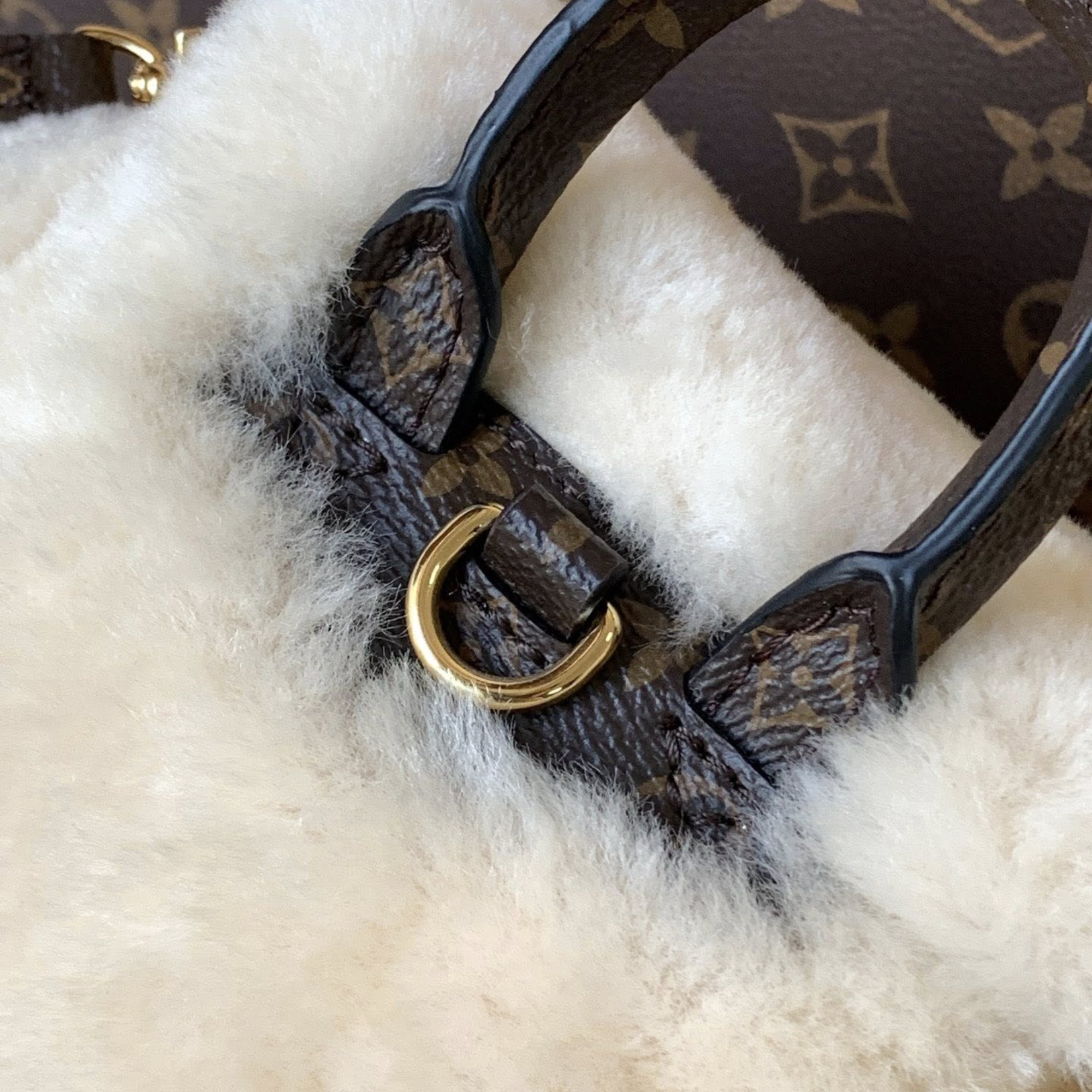 Louis Vuitton Nano Teddy Backpack