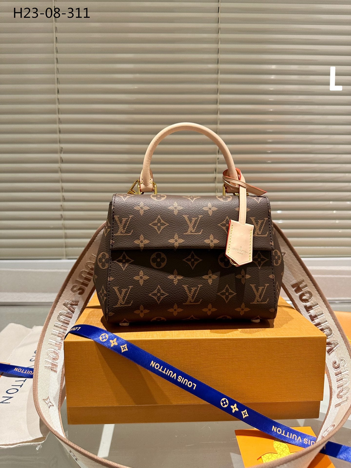 Louis Vuitton Cluny Mini Monogram Canvas 20Cm M46055