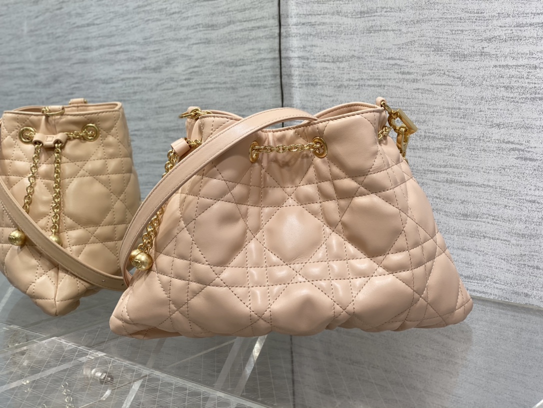 Christian Dior Ammi Shoulder crossbody Bag Lambskin leather Beige