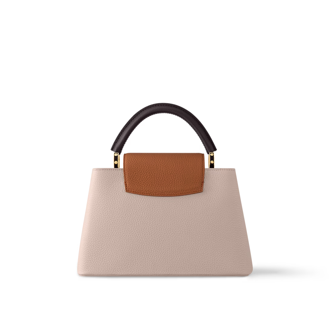 Louis Vuitton Capucines MM M12956 Gray 31.5cm/ 12.2in