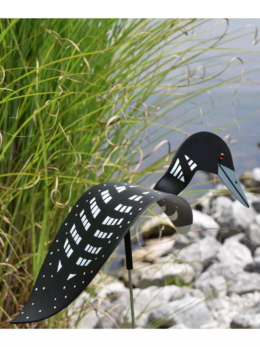 Florida Dancing Birds®, Loon