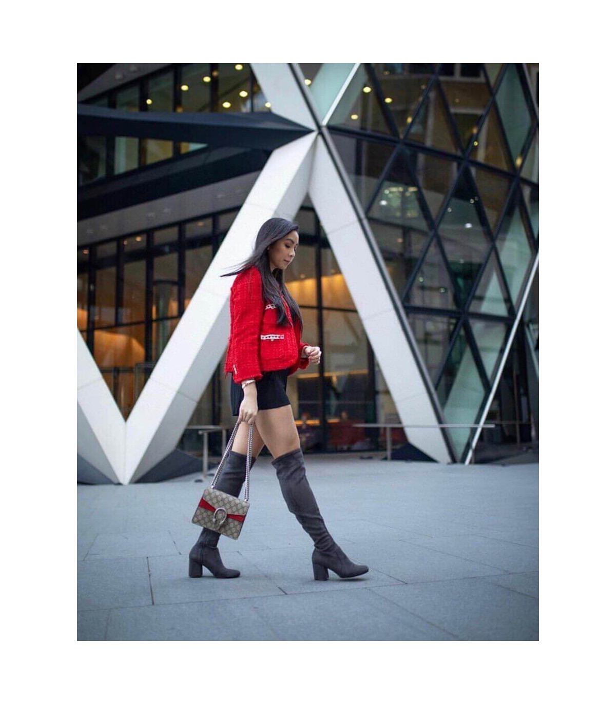 Gucci Dionysus GG Supreme Mini Bag Red 20cm