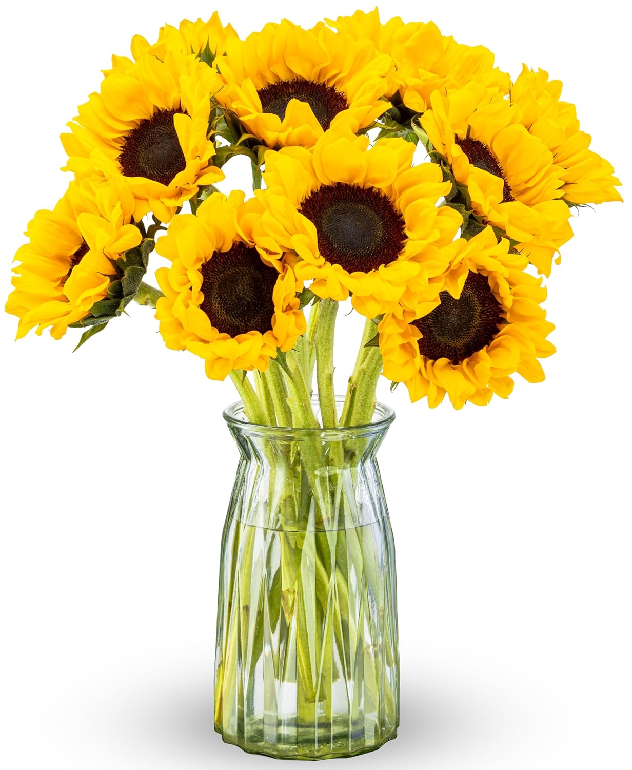 Benchmark Bouquets - Sunflowers - Fresh Flowers for Delivery - Yellow Flowers in a Vase - Flores Amarillas - Birthday Flowers for Women - Glass Vase Included (10 Stems)