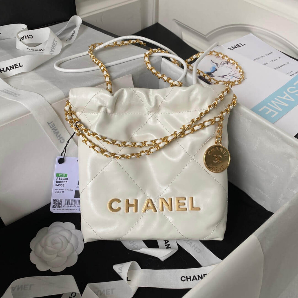 Chanel 22 Mini Bag in Shiny Calfskin